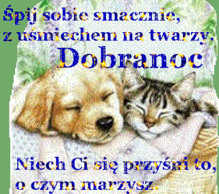 Dobranoc kot i pies śpią